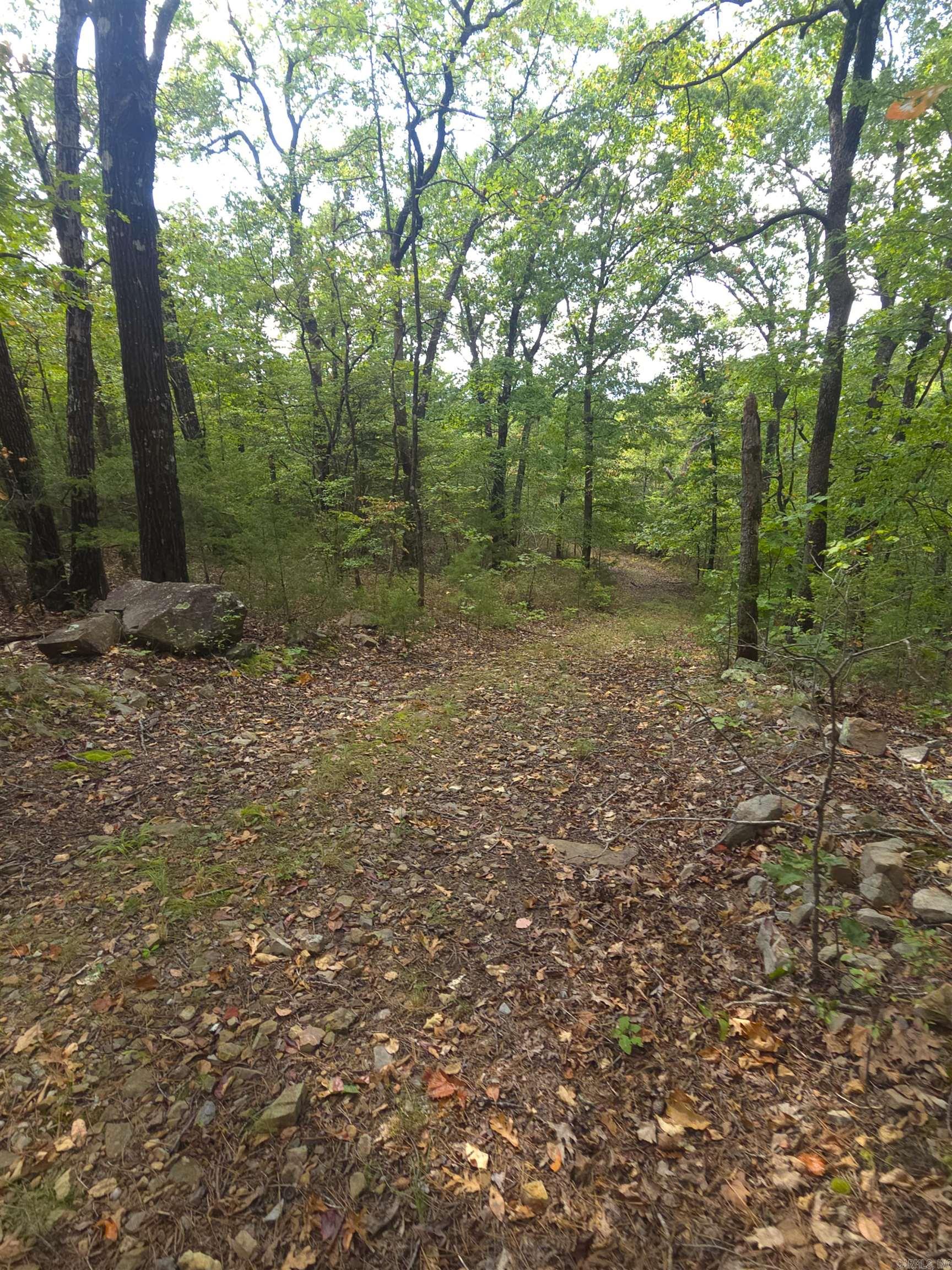 Tbd Shanendoah Lane Property Photo 14