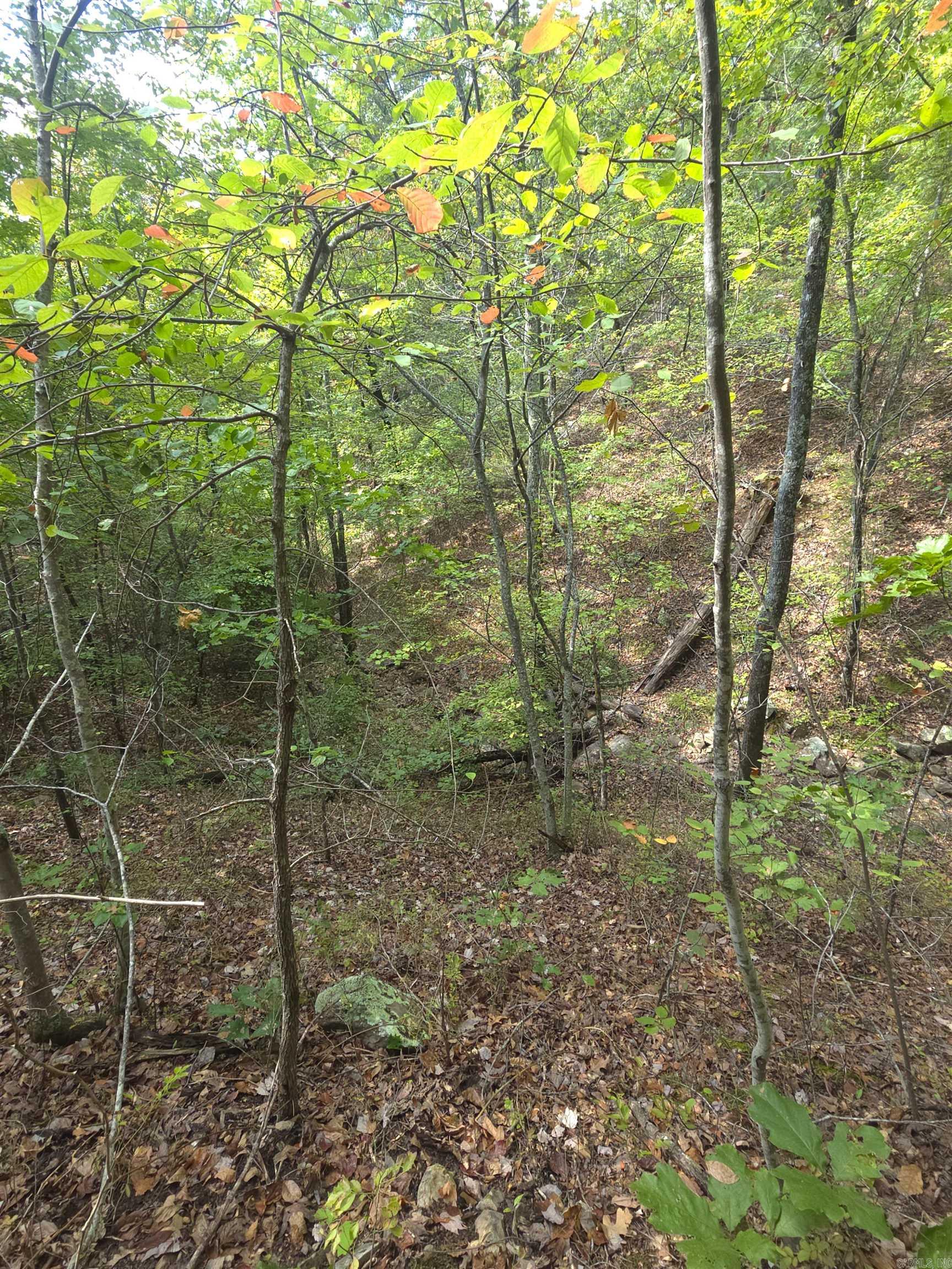 Tbd Shanendoah Lane Property Photo 15