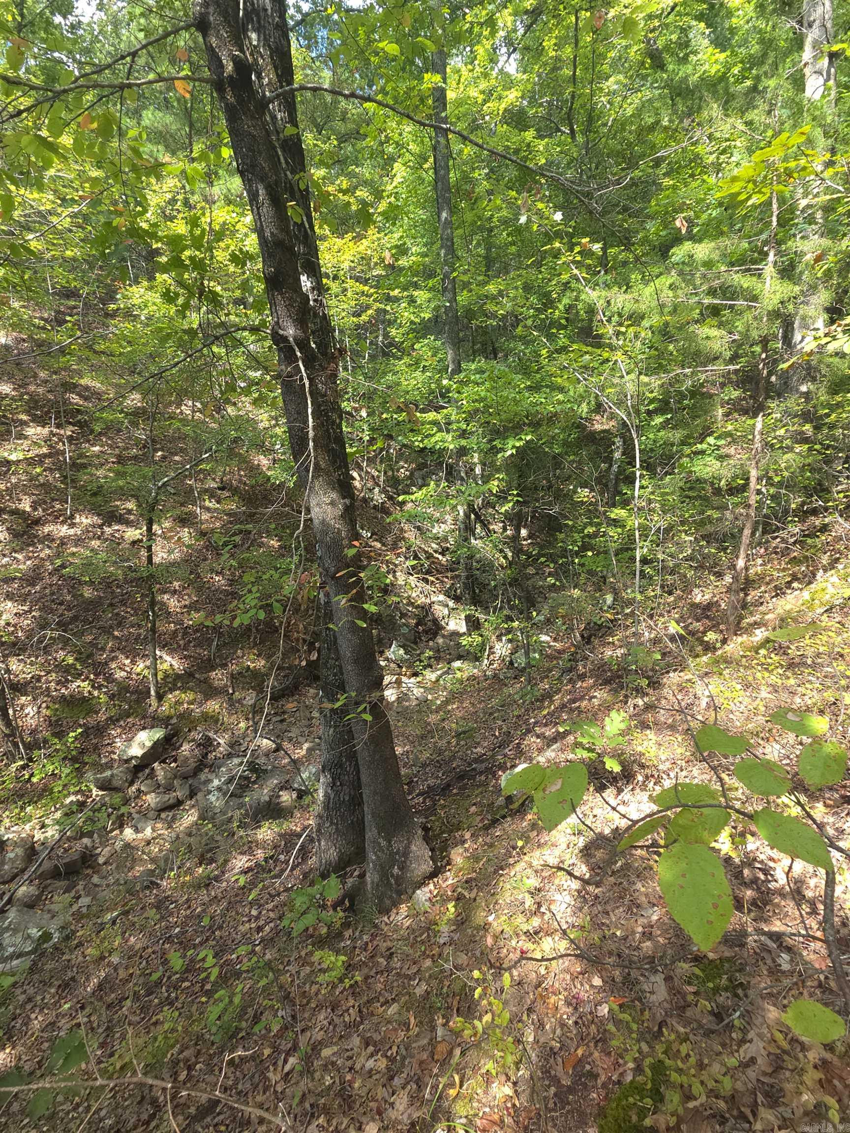 Tbd Shanendoah Lane Property Photo 16
