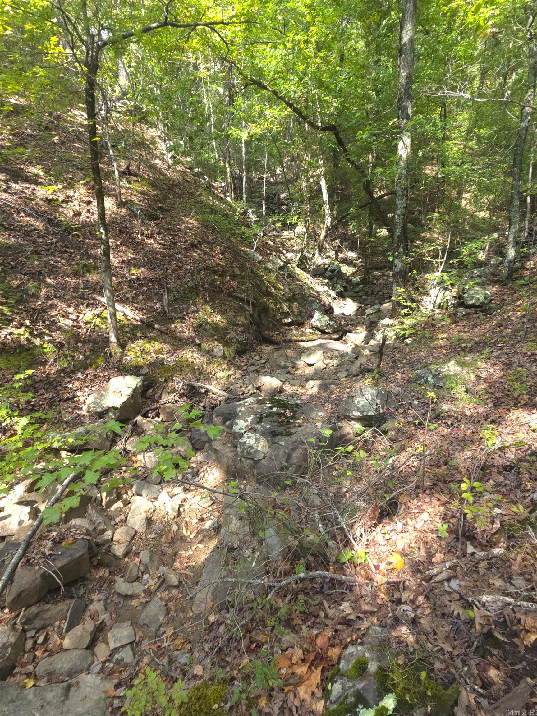 Tbd Shanendoah Lane Property Photo 17