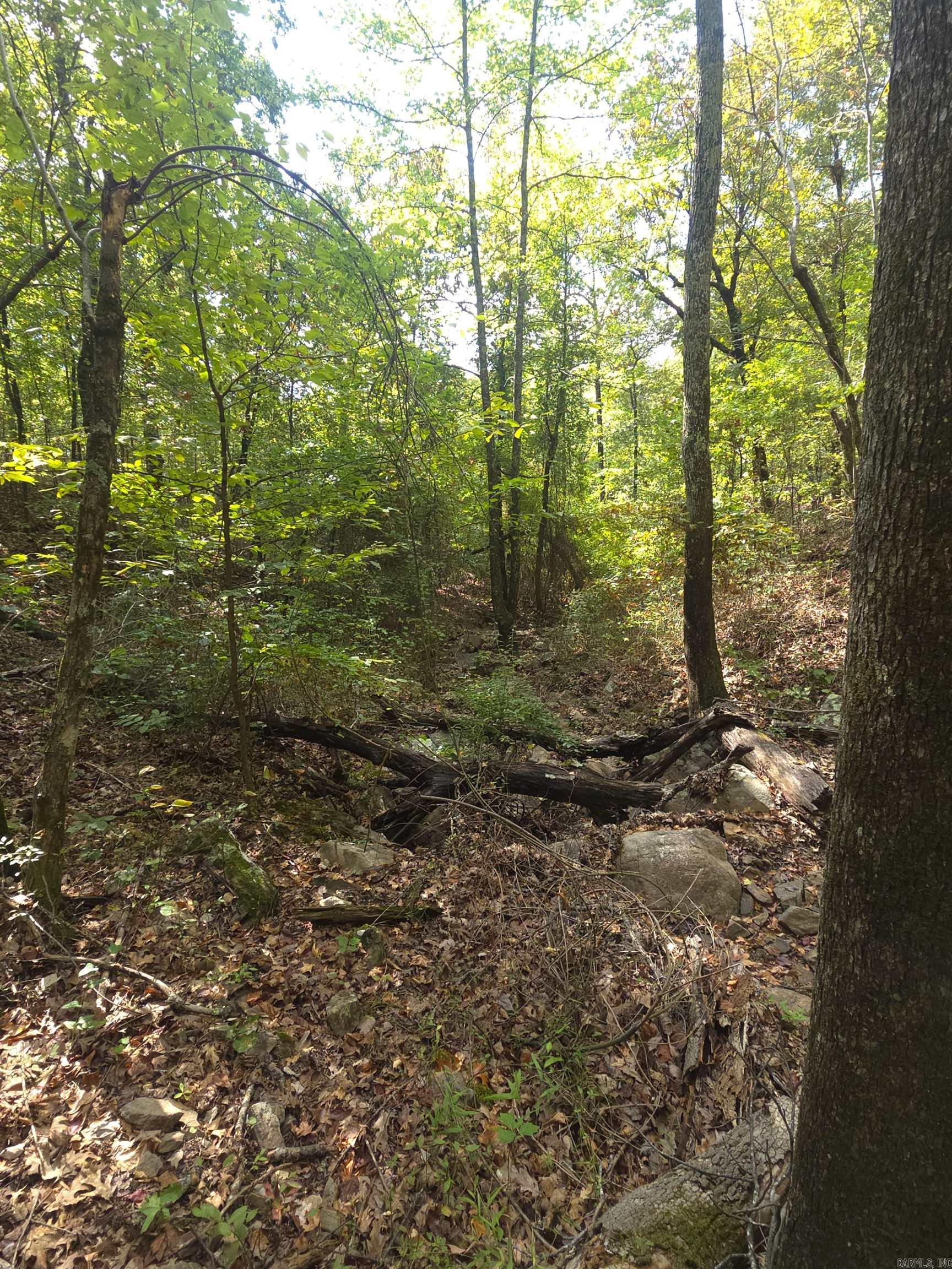 Tbd Shanendoah Lane Property Photo 18