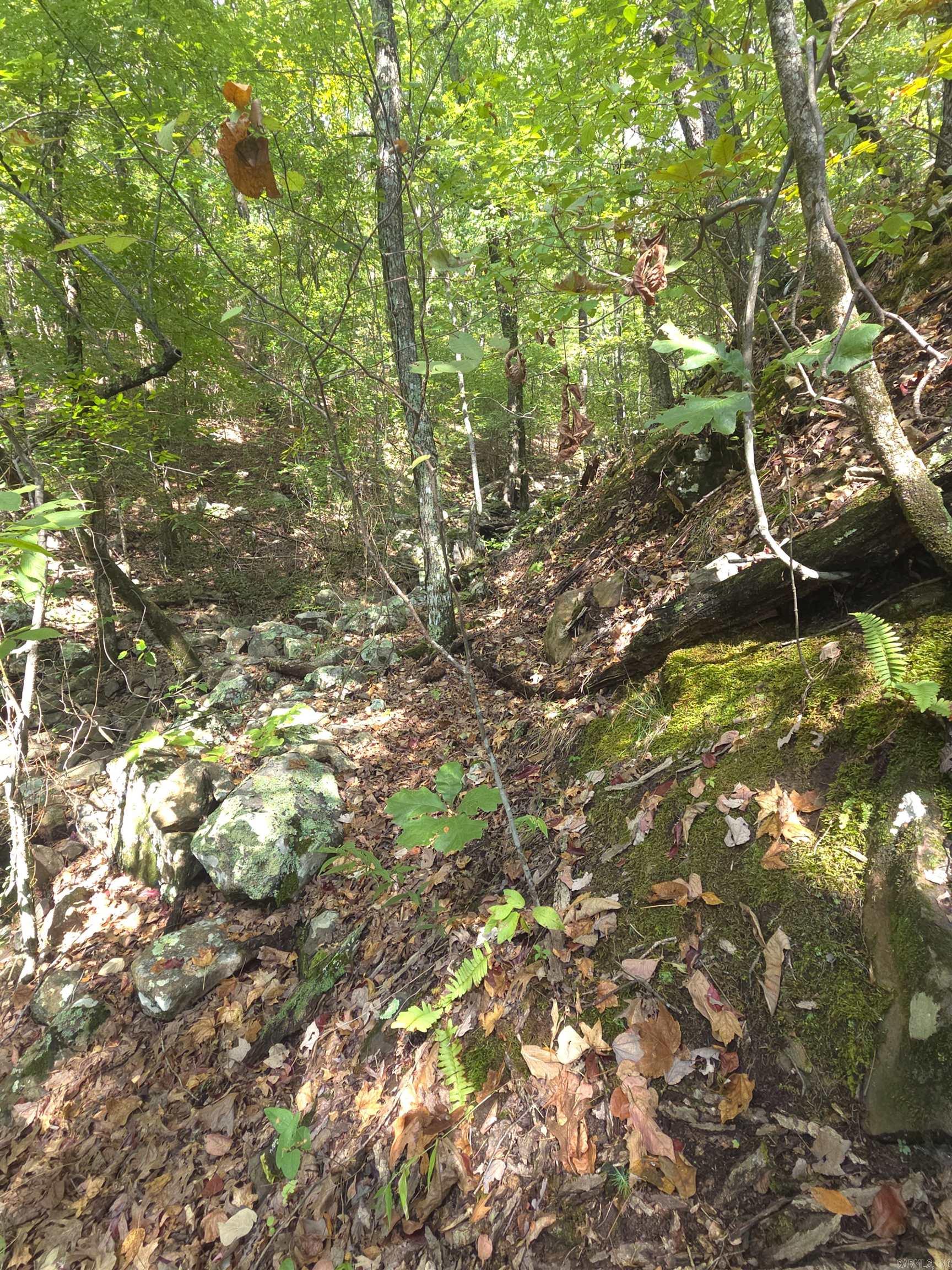 Tbd Shanendoah Lane Property Photo 21