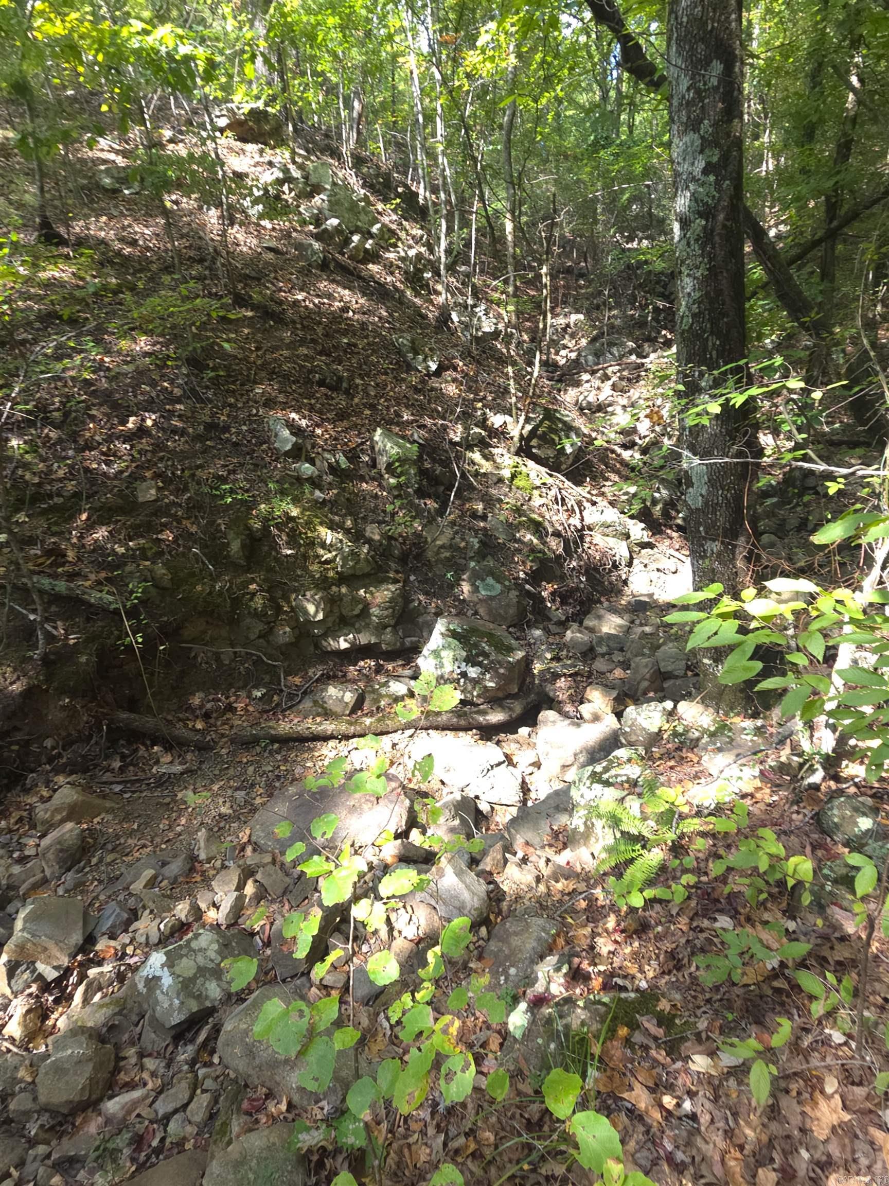 Tbd Shanendoah Lane Property Photo 22