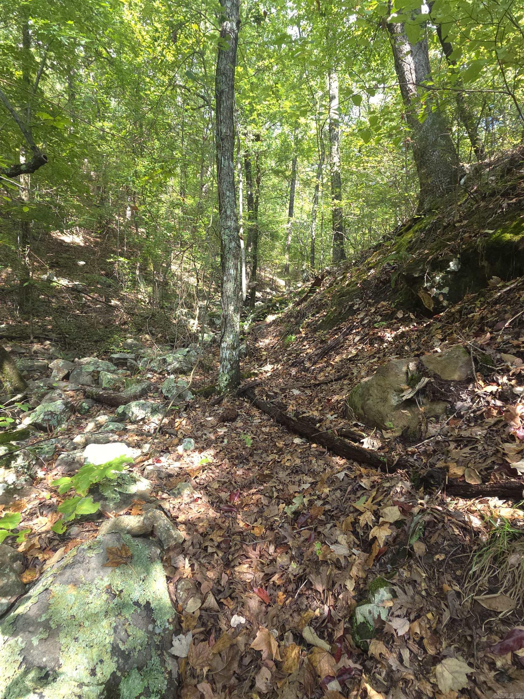 Tbd Shanendoah Lane Property Photo 23