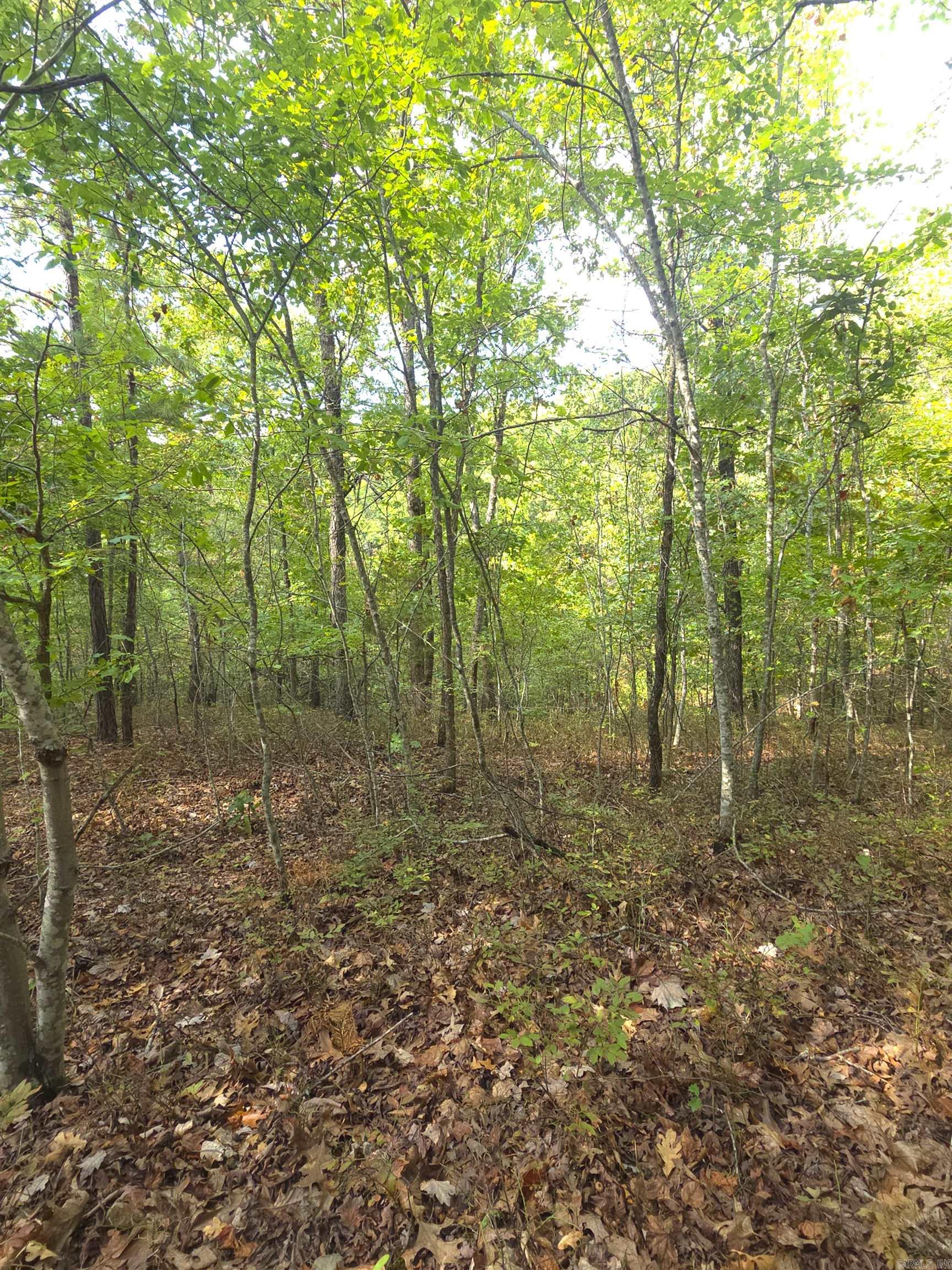 Tbd Shanendoah Lane Property Photo 25