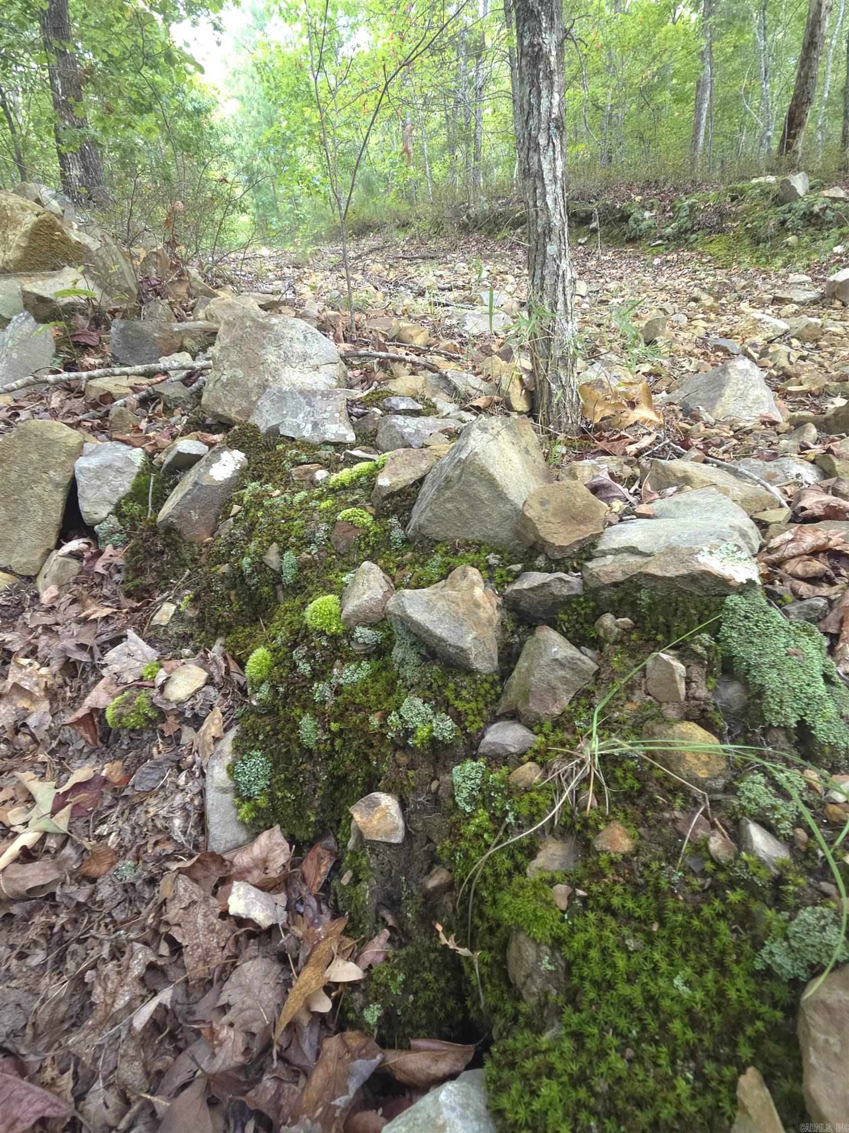 Tbd Shanendoah Lane Property Photo 26