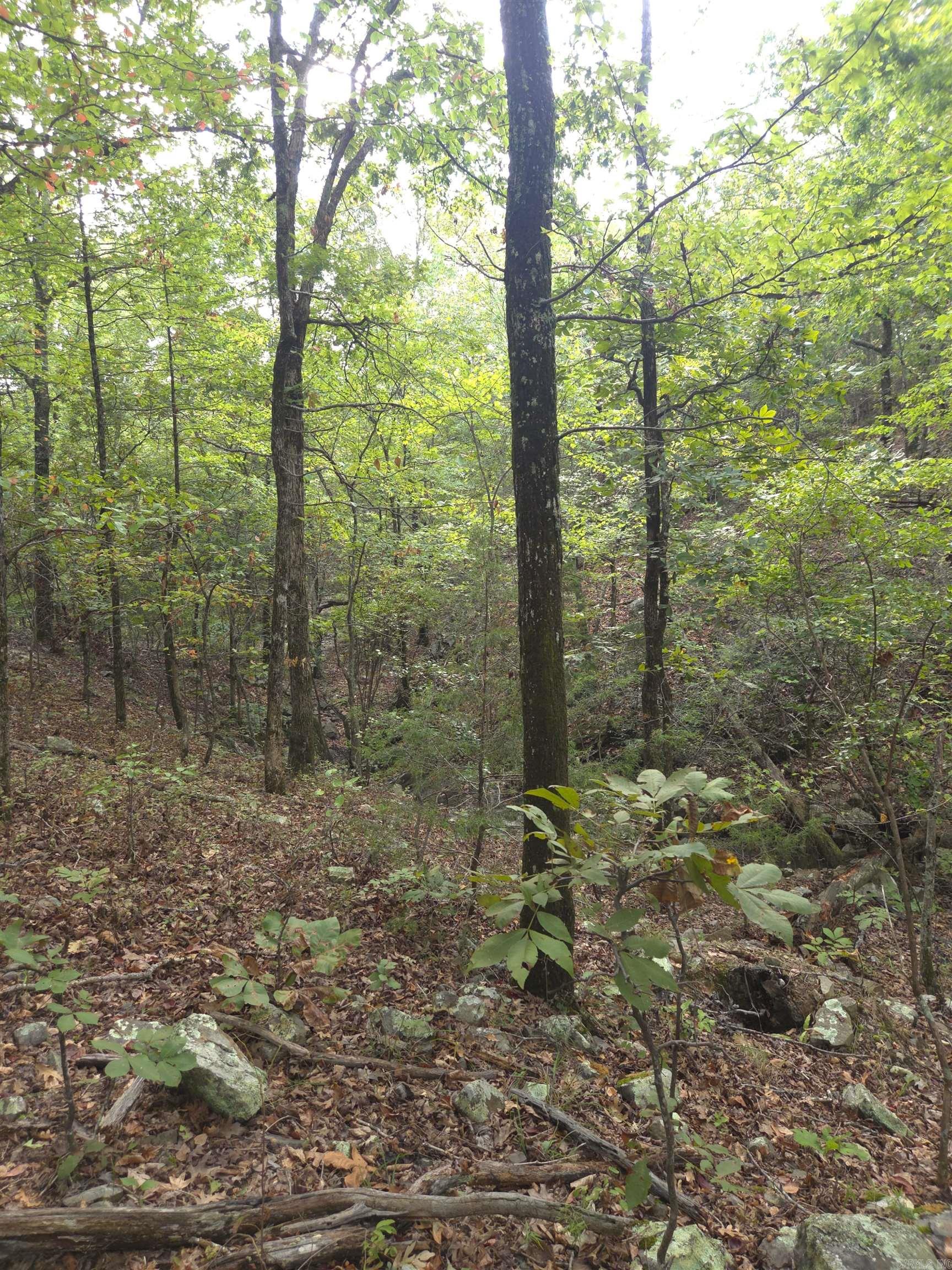 Tbd Shanendoah Lane Property Photo 27