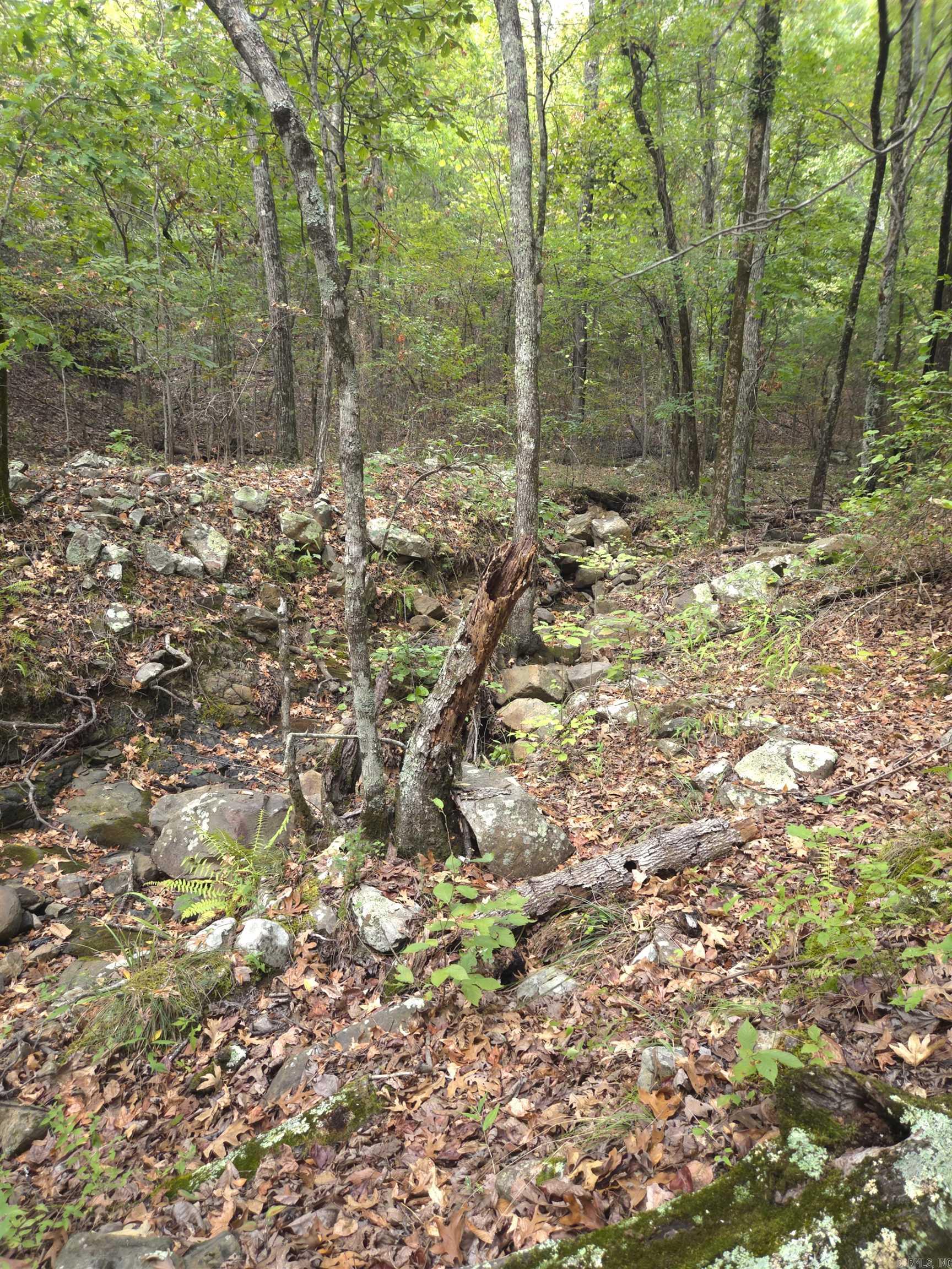 Tbd Shanendoah Lane Property Photo 28