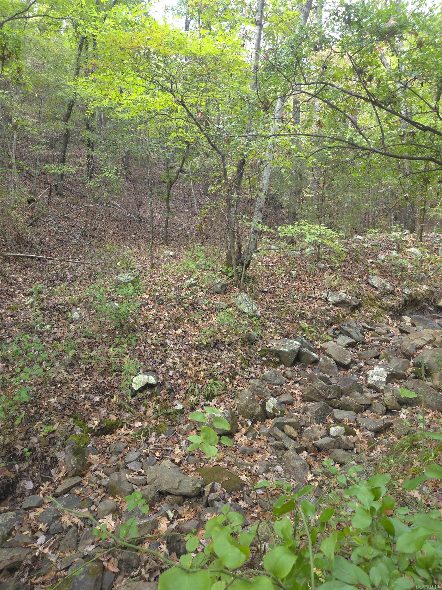 Tbd Shanendoah Lane Property Photo 29