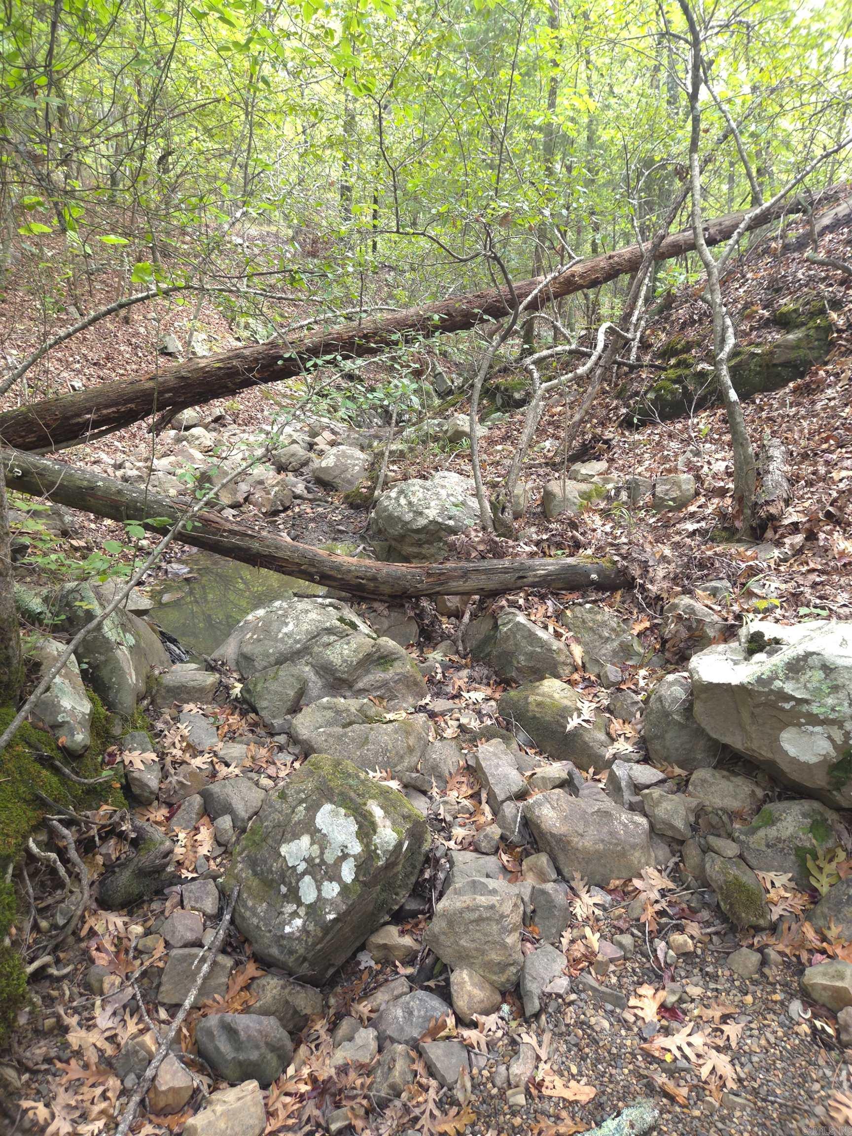 Tbd Shanendoah Lane Property Photo 31