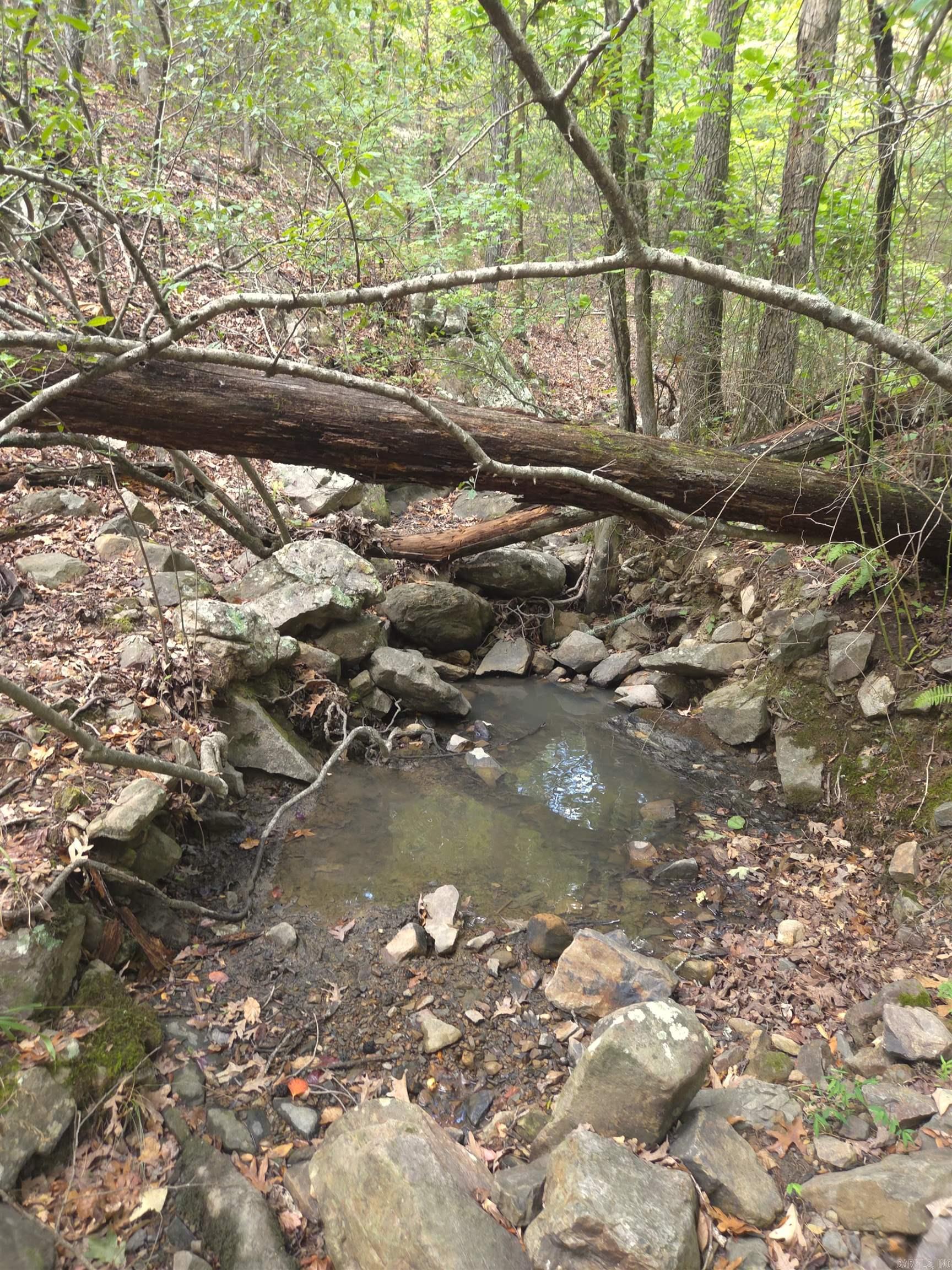 Tbd Shanendoah Lane Property Photo 33