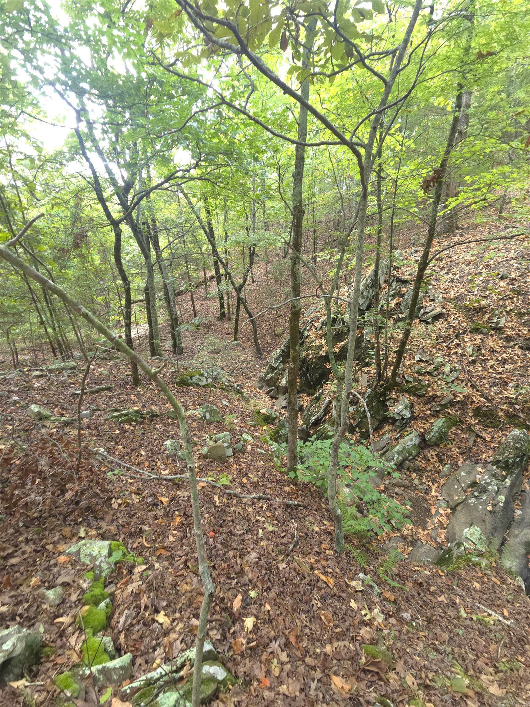 Tbd Shanendoah Lane Property Photo 35