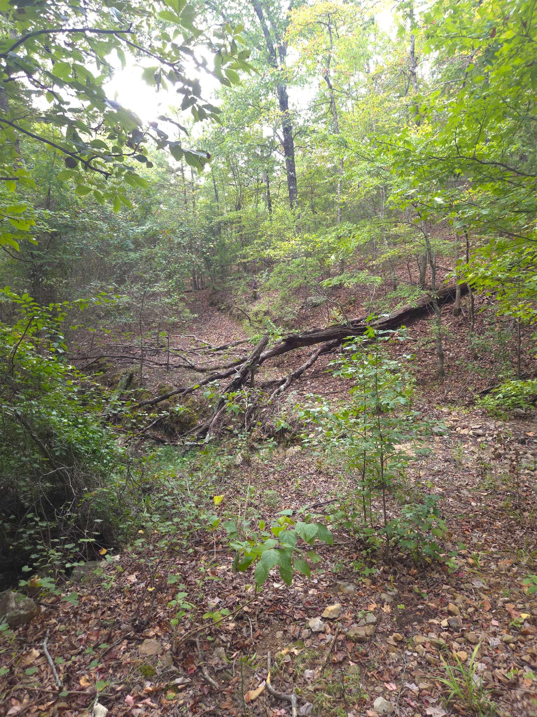 Tbd Shanendoah Lane Property Photo 36