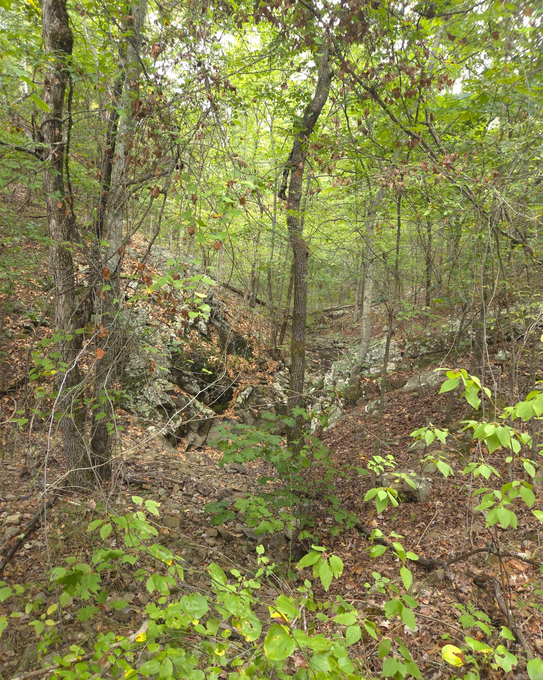 Tbd Shanendoah Lane Property Photo 37