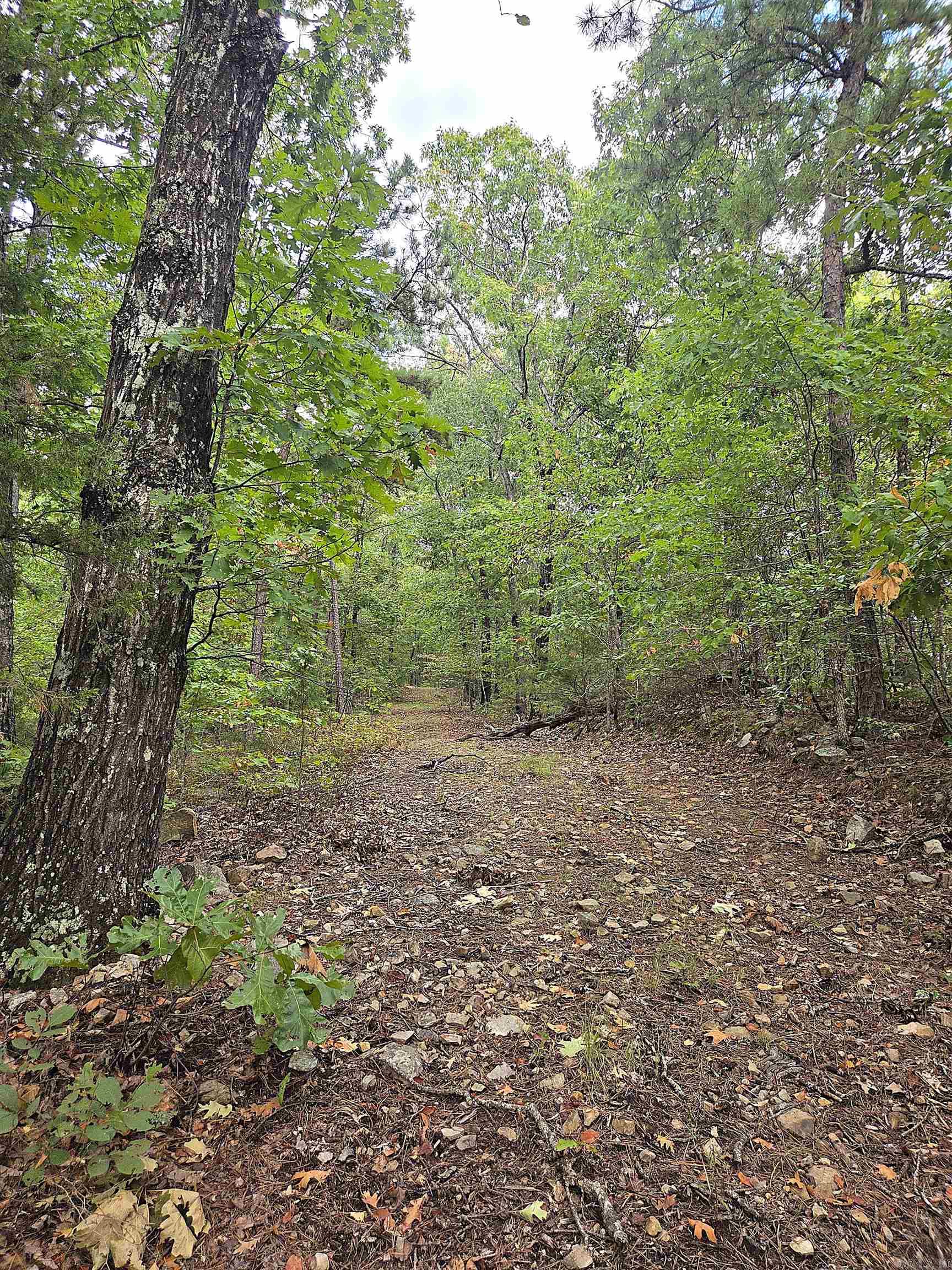 Tbd Shanendoah Lane Property Photo 39