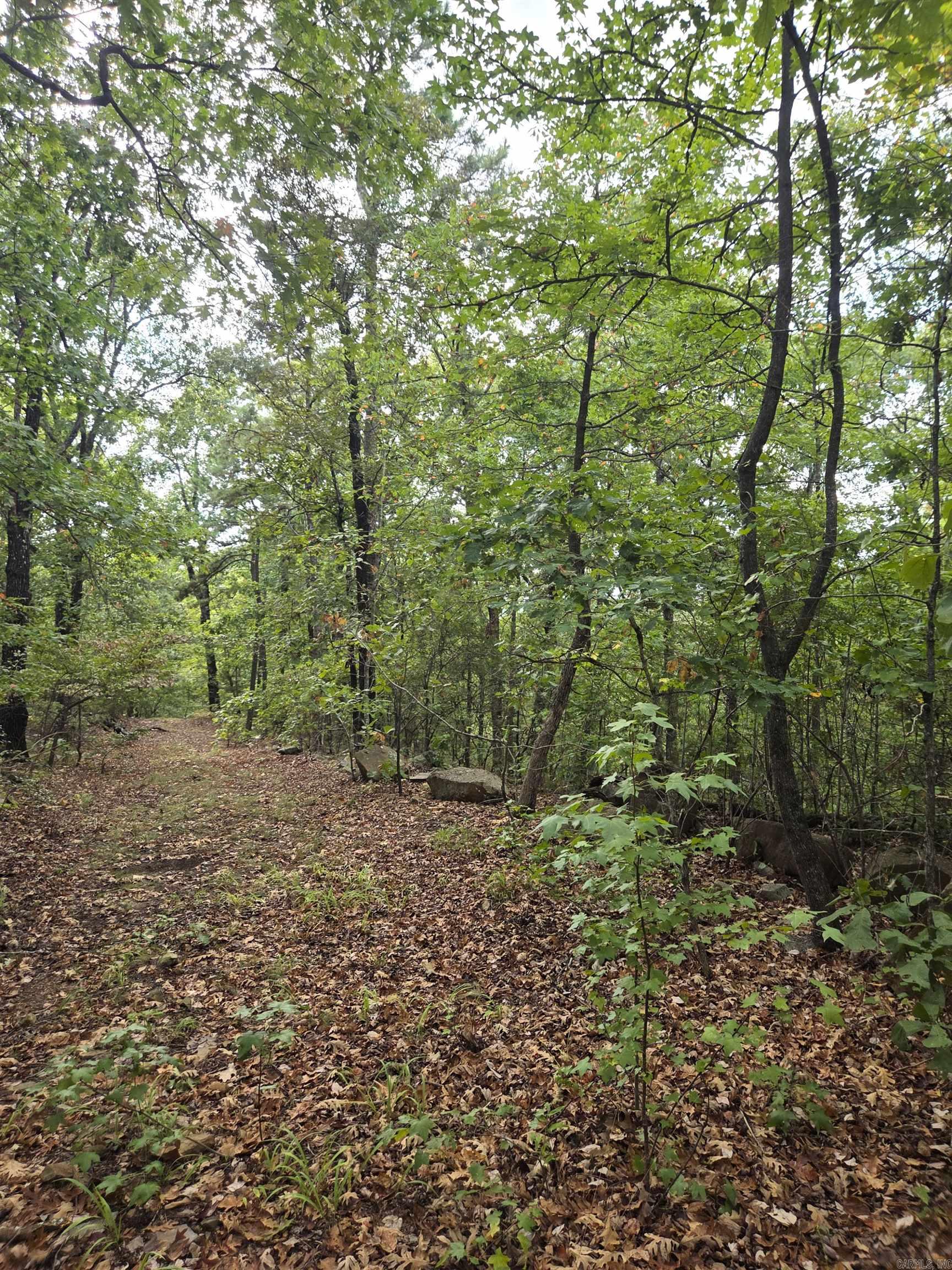 Tbd Shanendoah Lane Property Photo 40