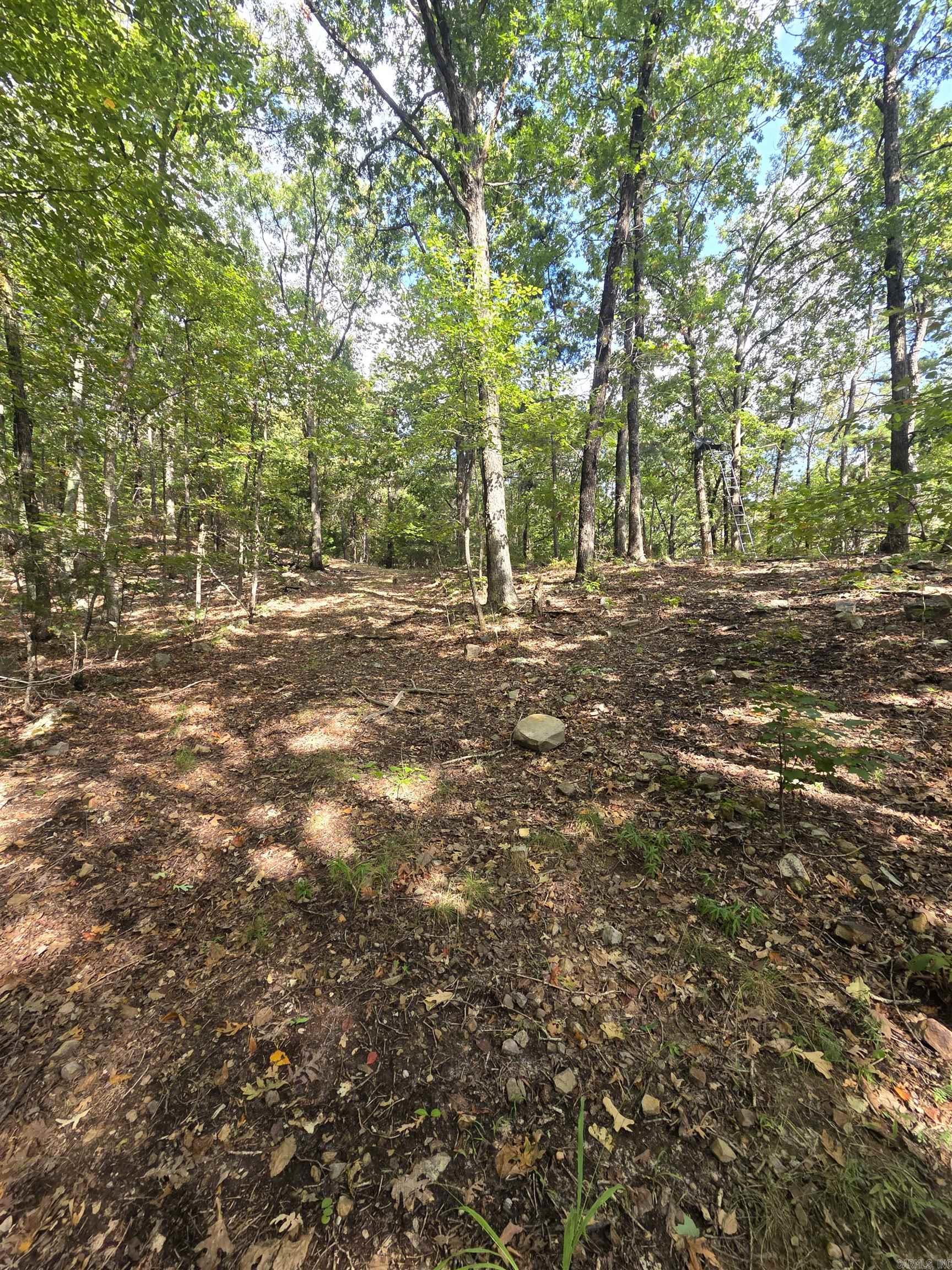 Tbd Shanendoah Lane Property Photo 41