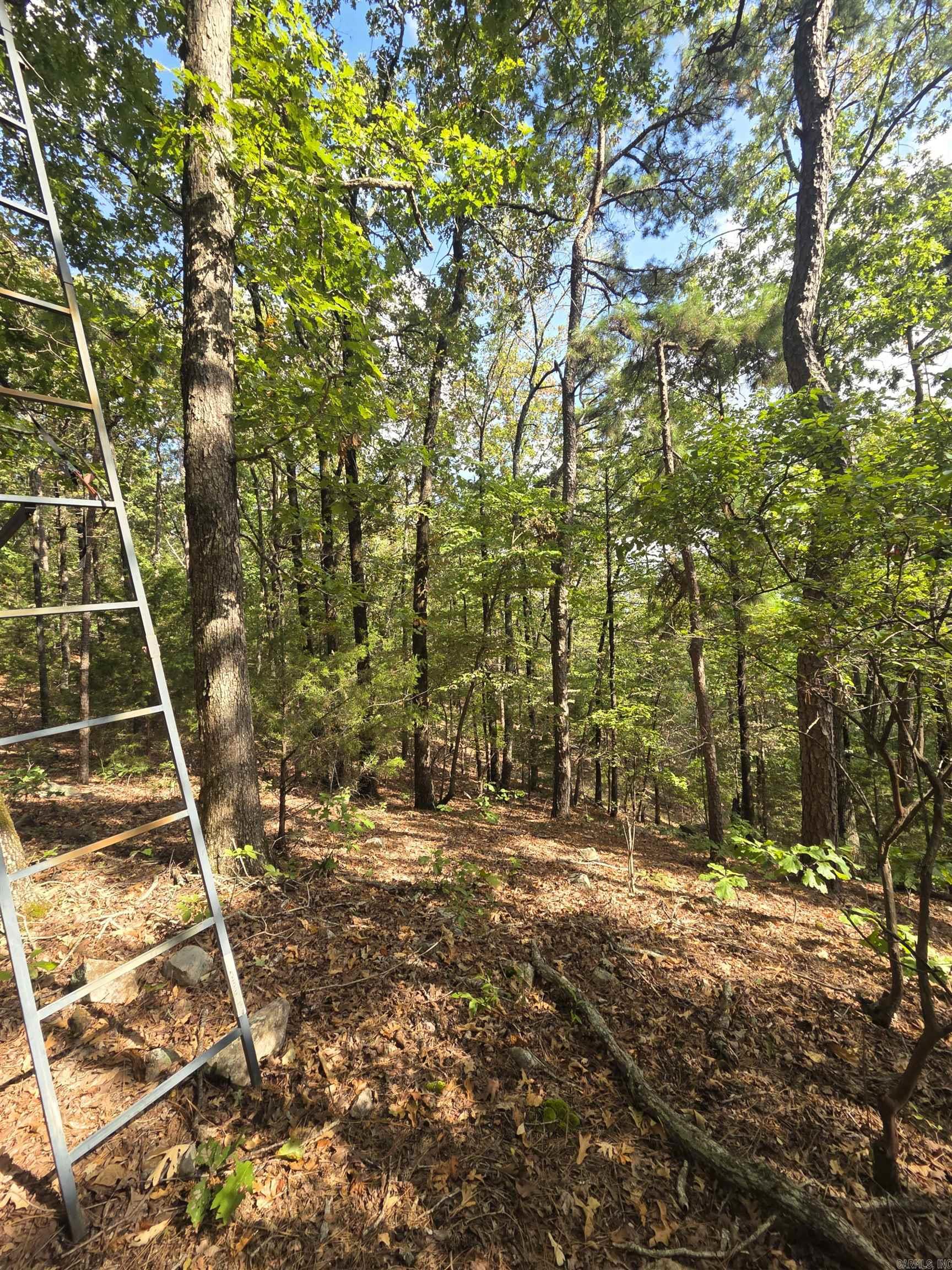 Tbd Shanendoah Lane Property Photo 42