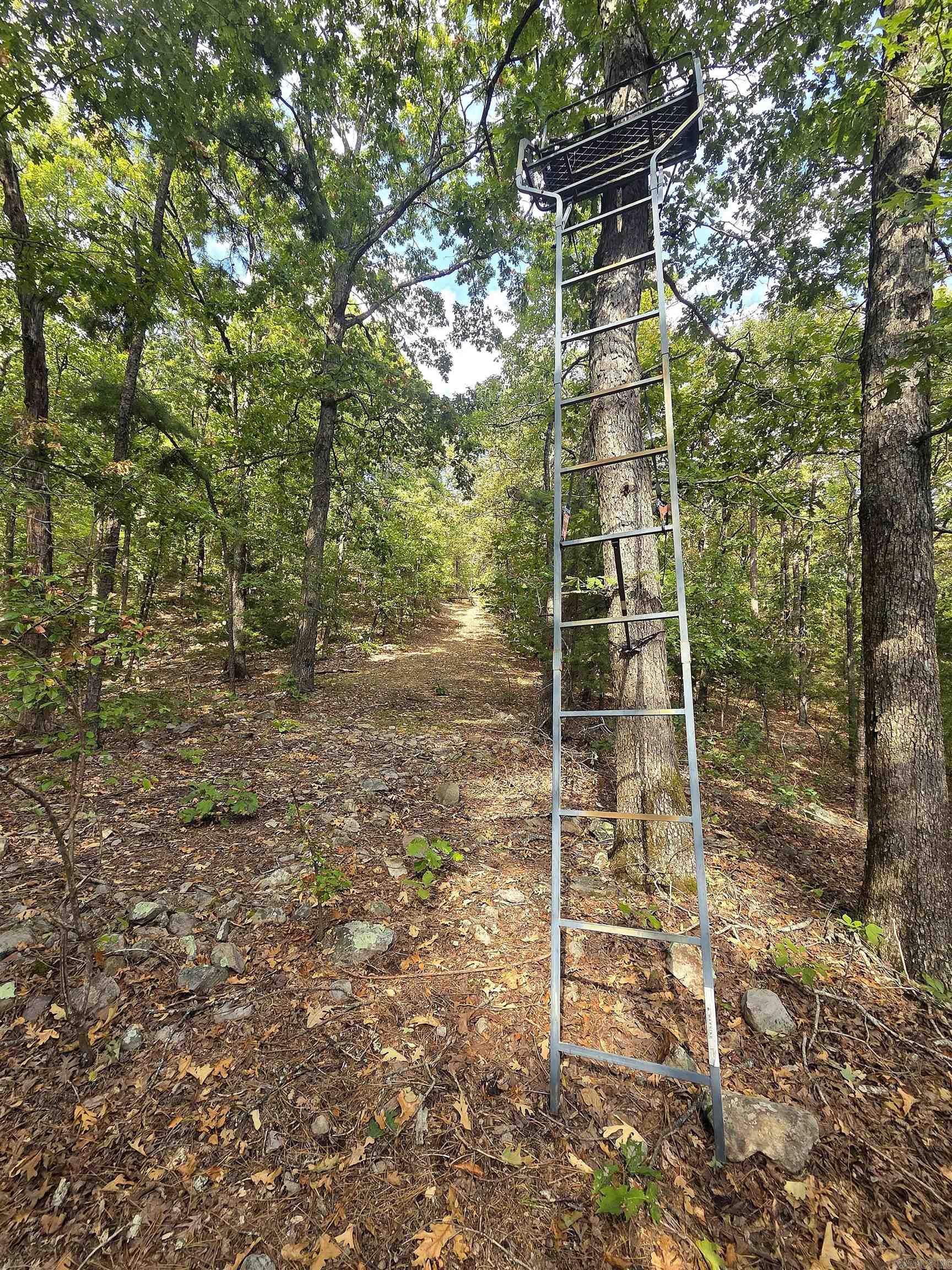 Tbd Shanendoah Lane Property Photo 43