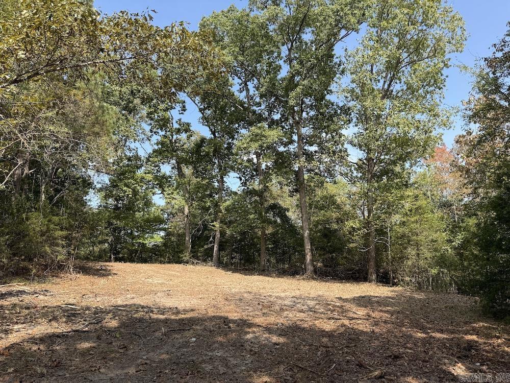 905 Marion County 6062 Property Photo 7