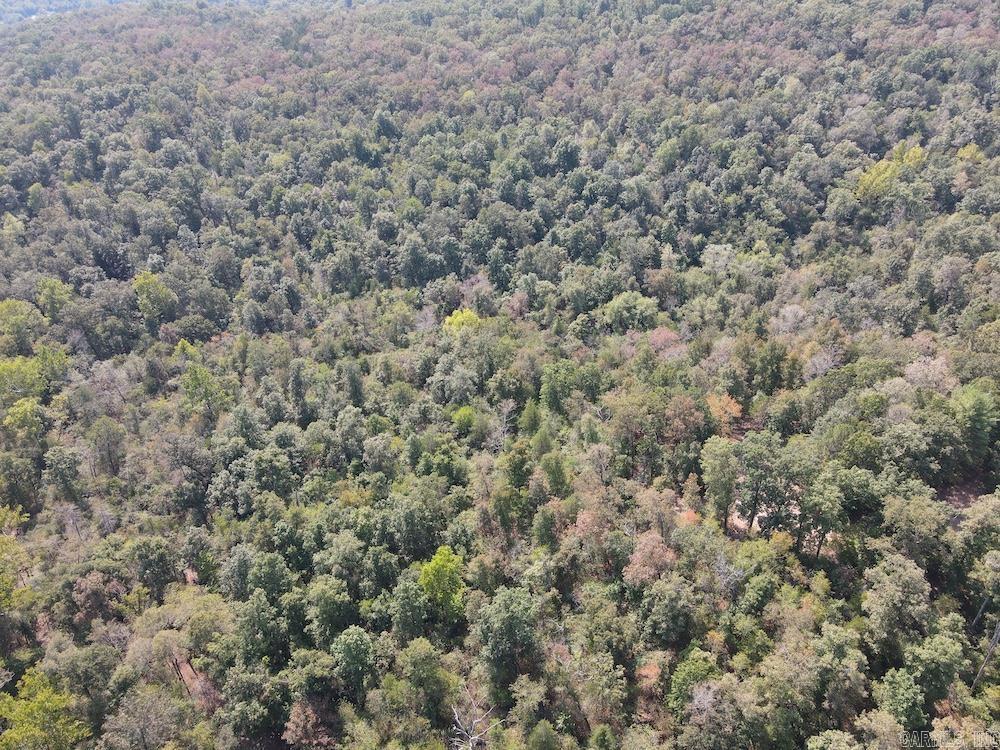 905 Marion County 6062 Property Photo 19