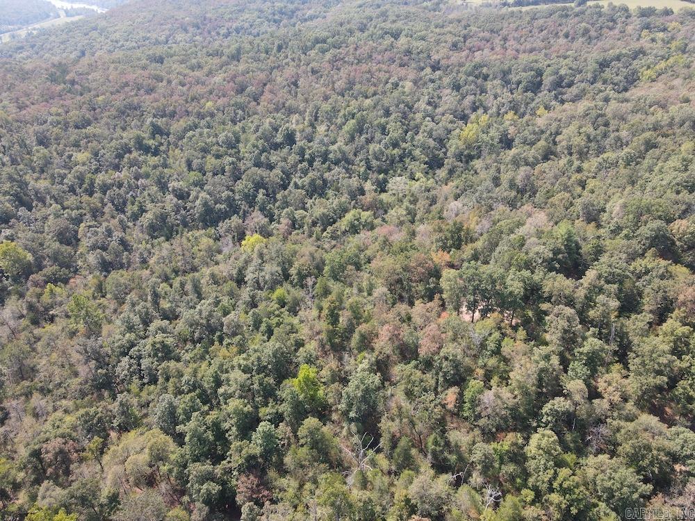 905 Marion County 6062 Property Photo 22