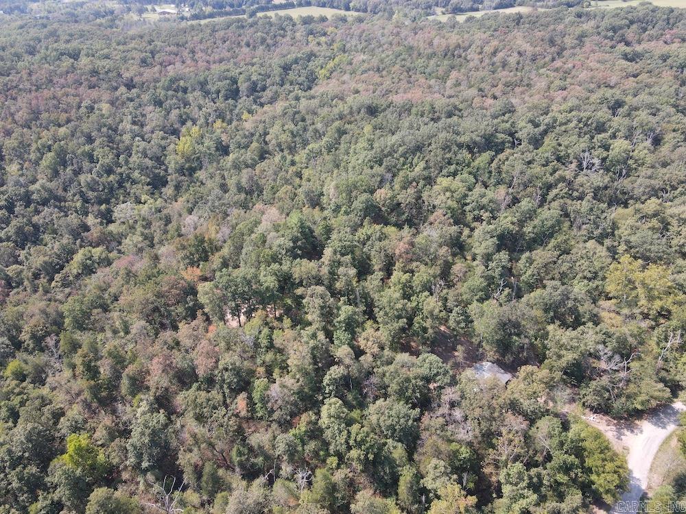 905 Marion County 6062 Property Photo 23