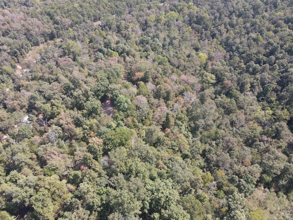 905 Marion County 6062 Property Photo 30