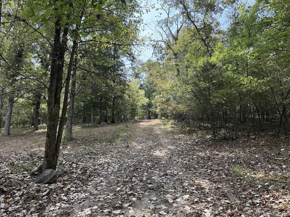 905 Marion County 6062 Property Photo 50
