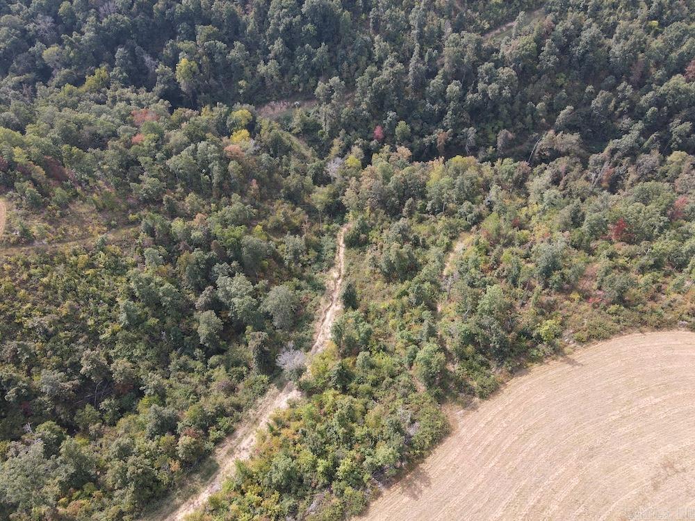 N/a Come Back Ln Property Photo 6