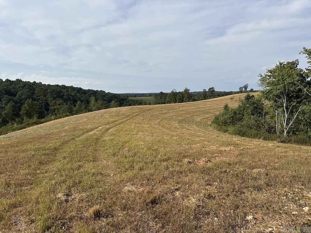 N/a Come Back Ln Property Photo 26
