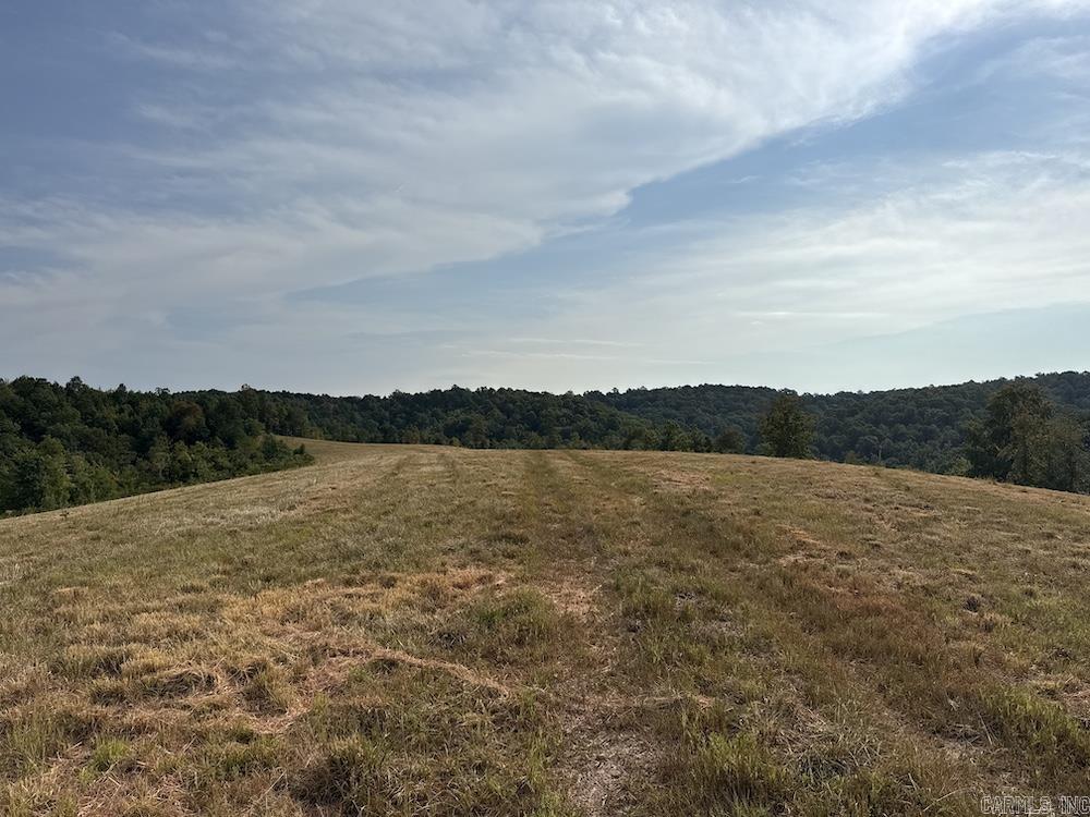 N/a Come Back Ln Property Photo 31