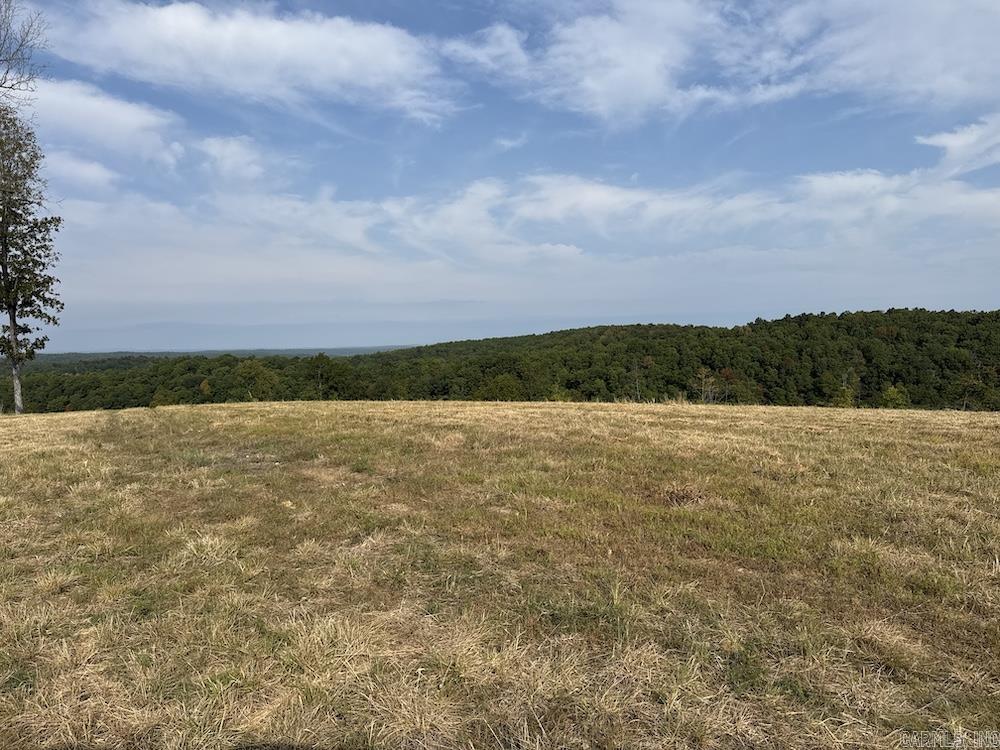 N/a Come Back Ln Property Photo 33