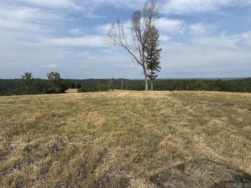 N/a Come Back Ln Property Photo 34