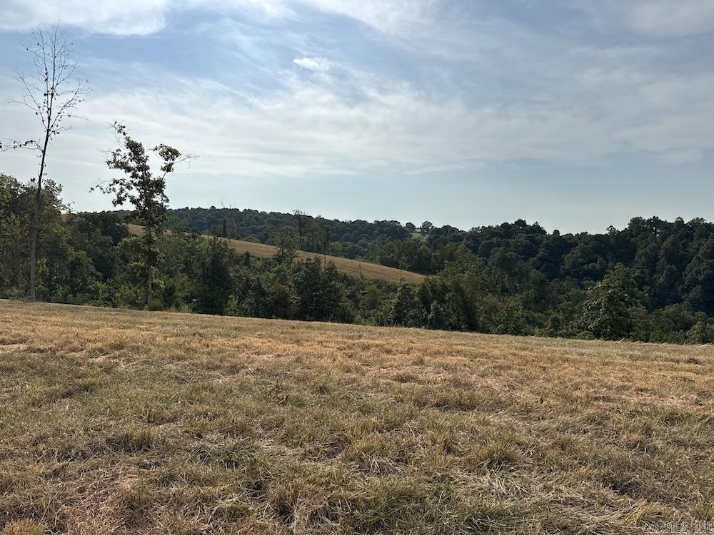 N/a Come Back Ln Property Photo 36