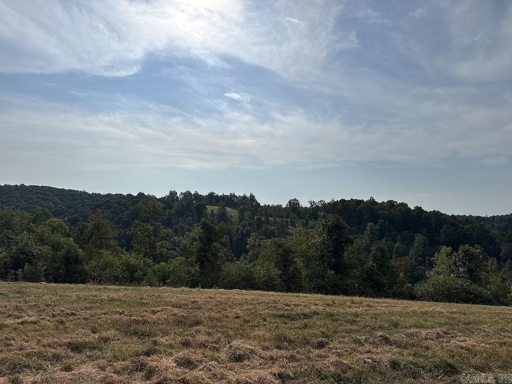 N/a Come Back Ln Property Photo 38
