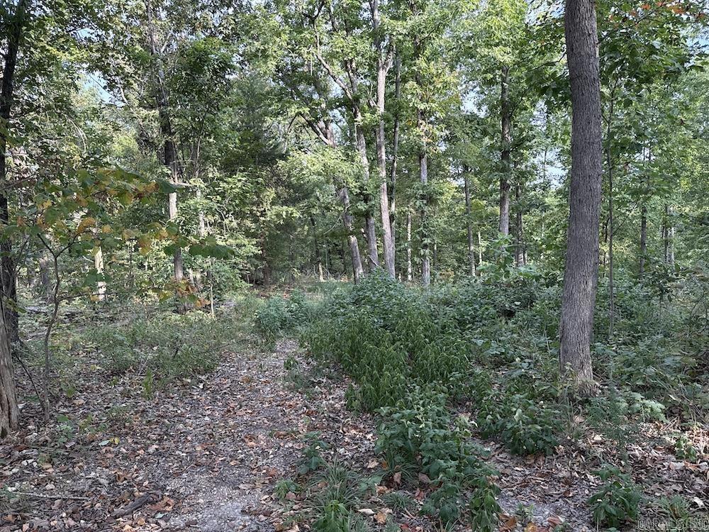 Cozahome Rd Property Photo 25