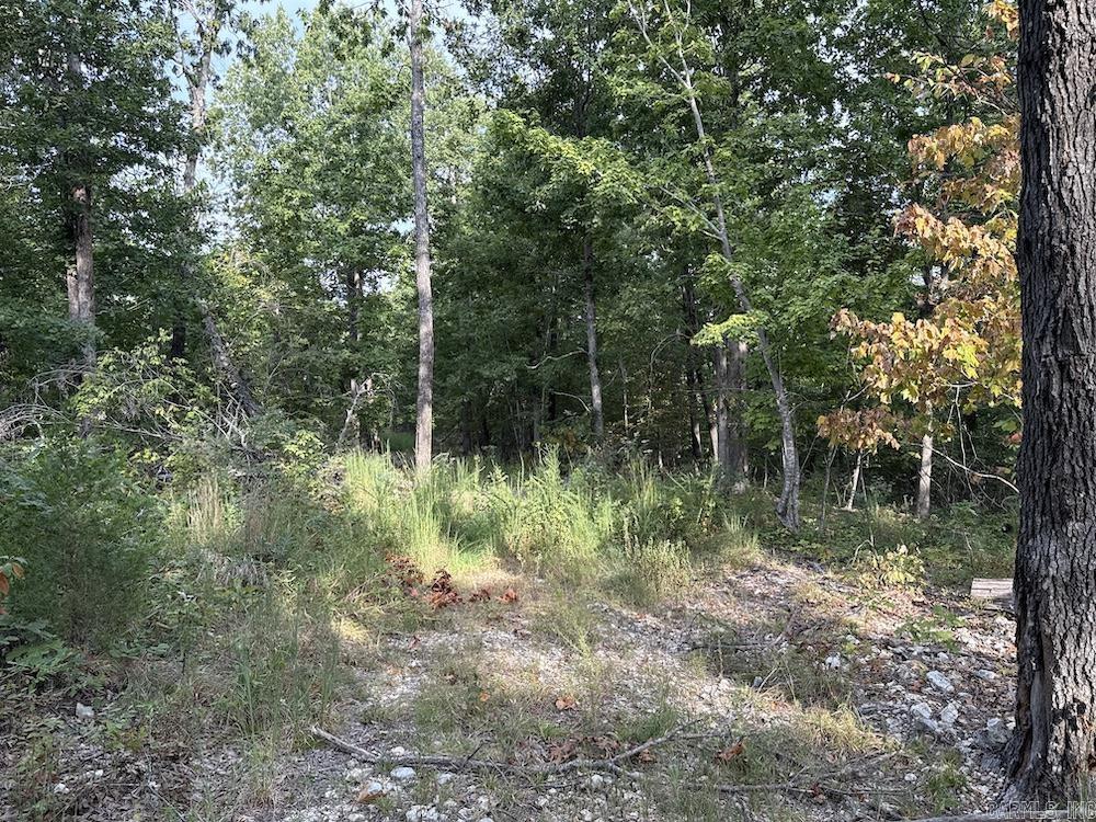 Cozahome Rd Property Photo 29
