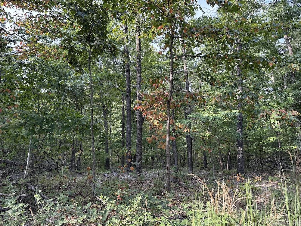 Cozahome Rd Property Photo 30