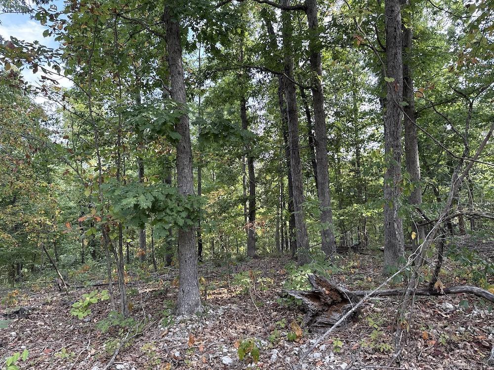 Cozahome Rd Property Photo 31