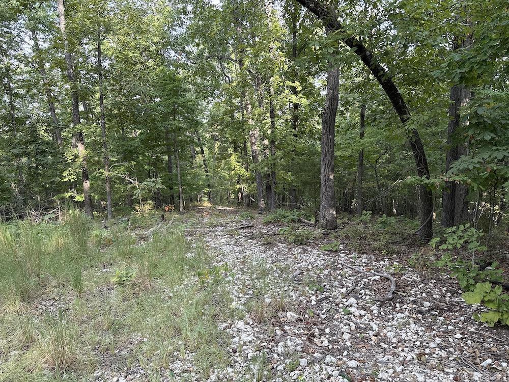 Cozahome Rd Property Photo 33
