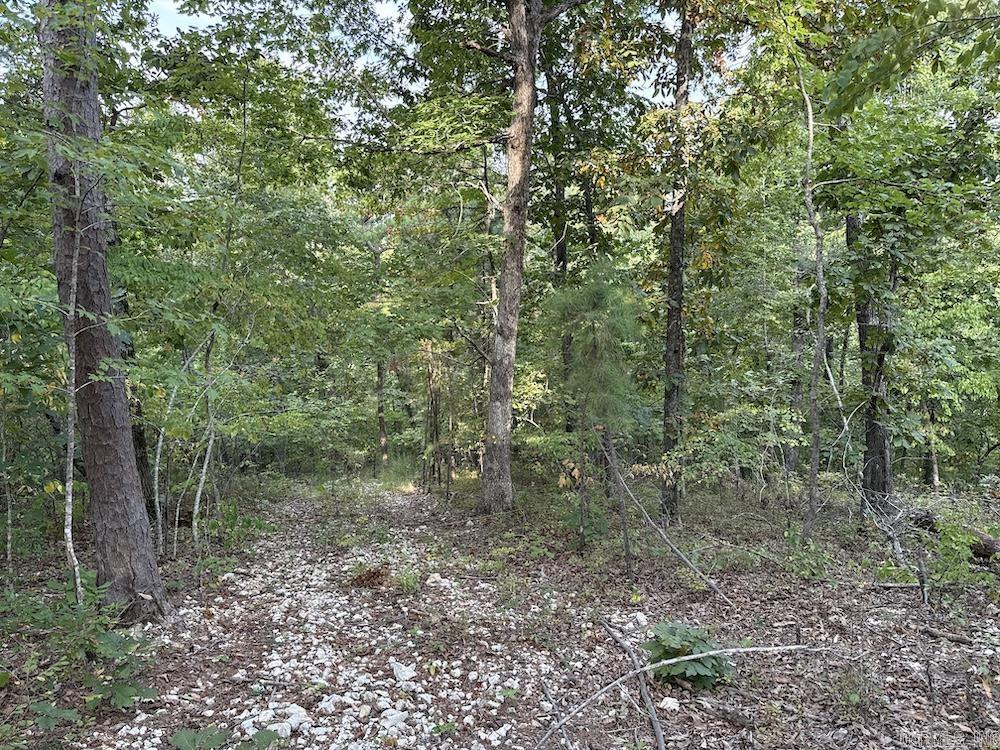 Cozahome Rd Property Photo 34