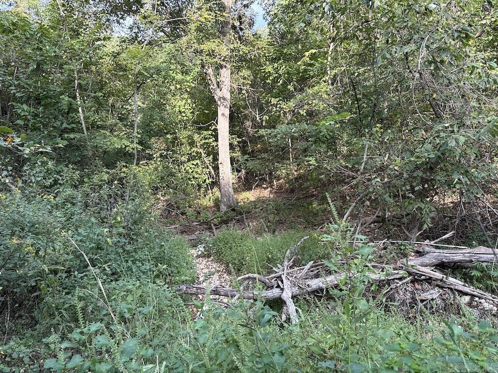 Cozahome Rd Property Photo 35