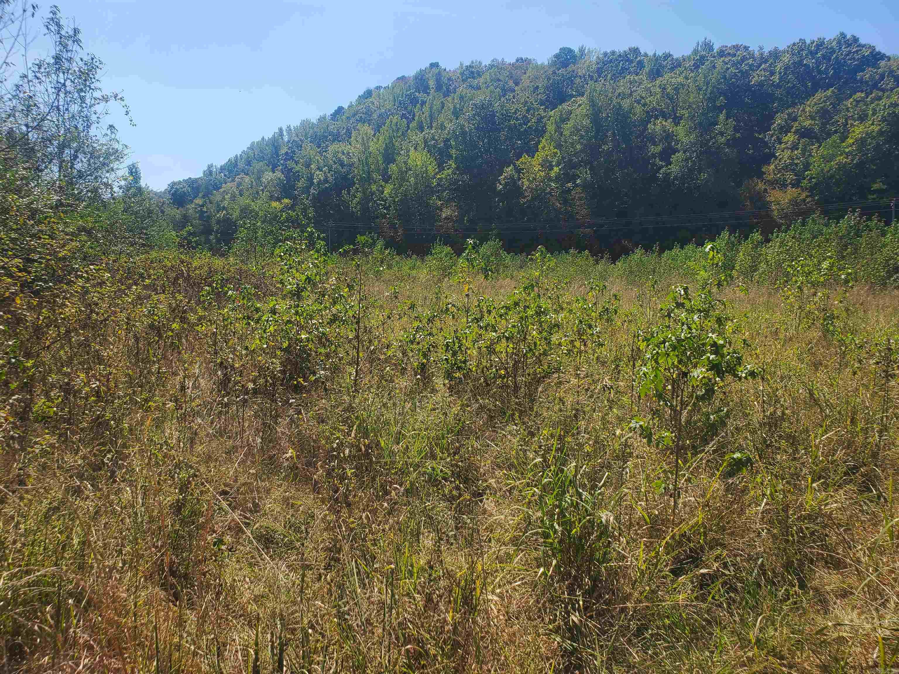 Tbd Polk Road 67 Property Photo 1