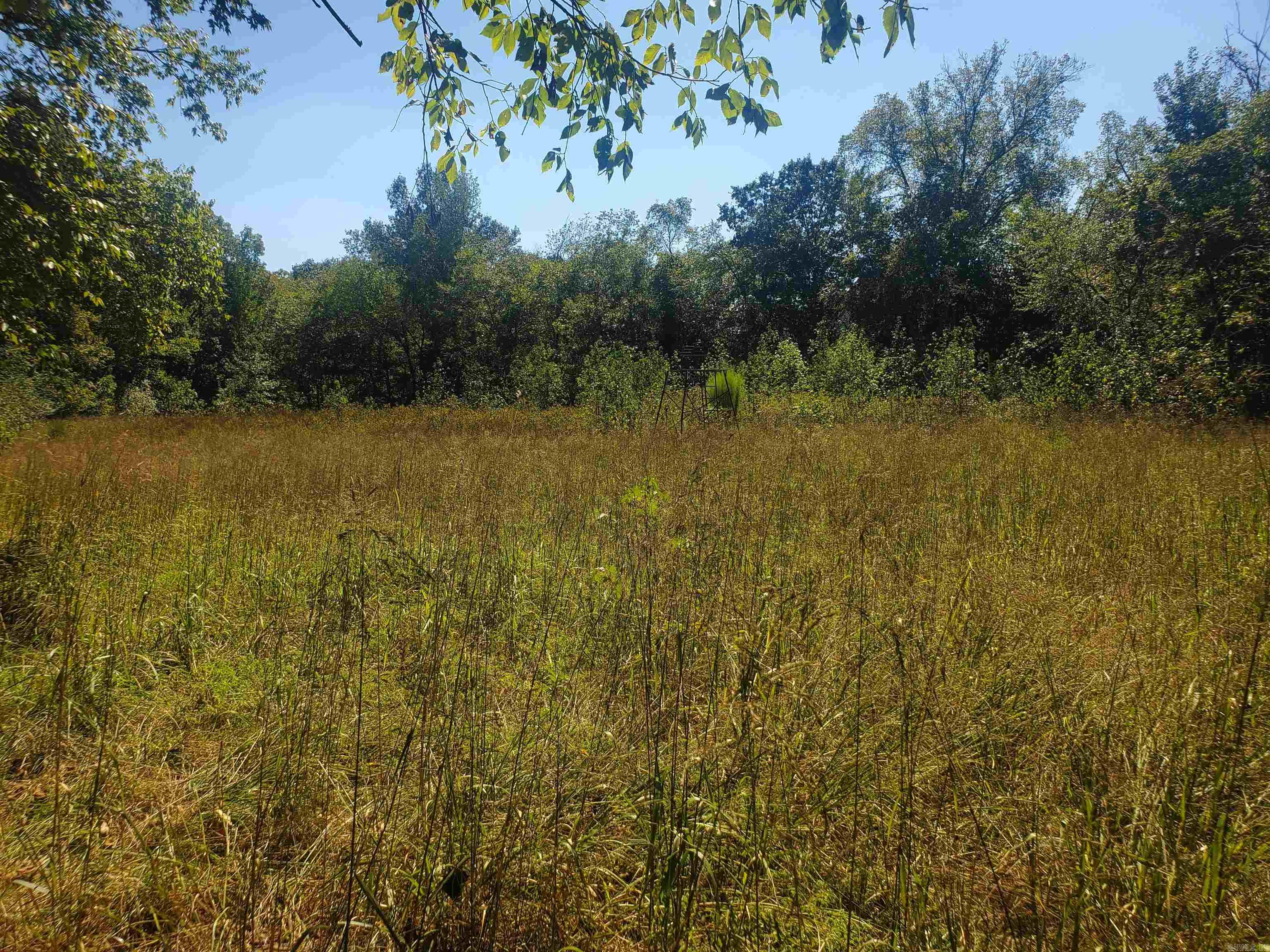 Tbd Polk Road 67 Property Photo 2