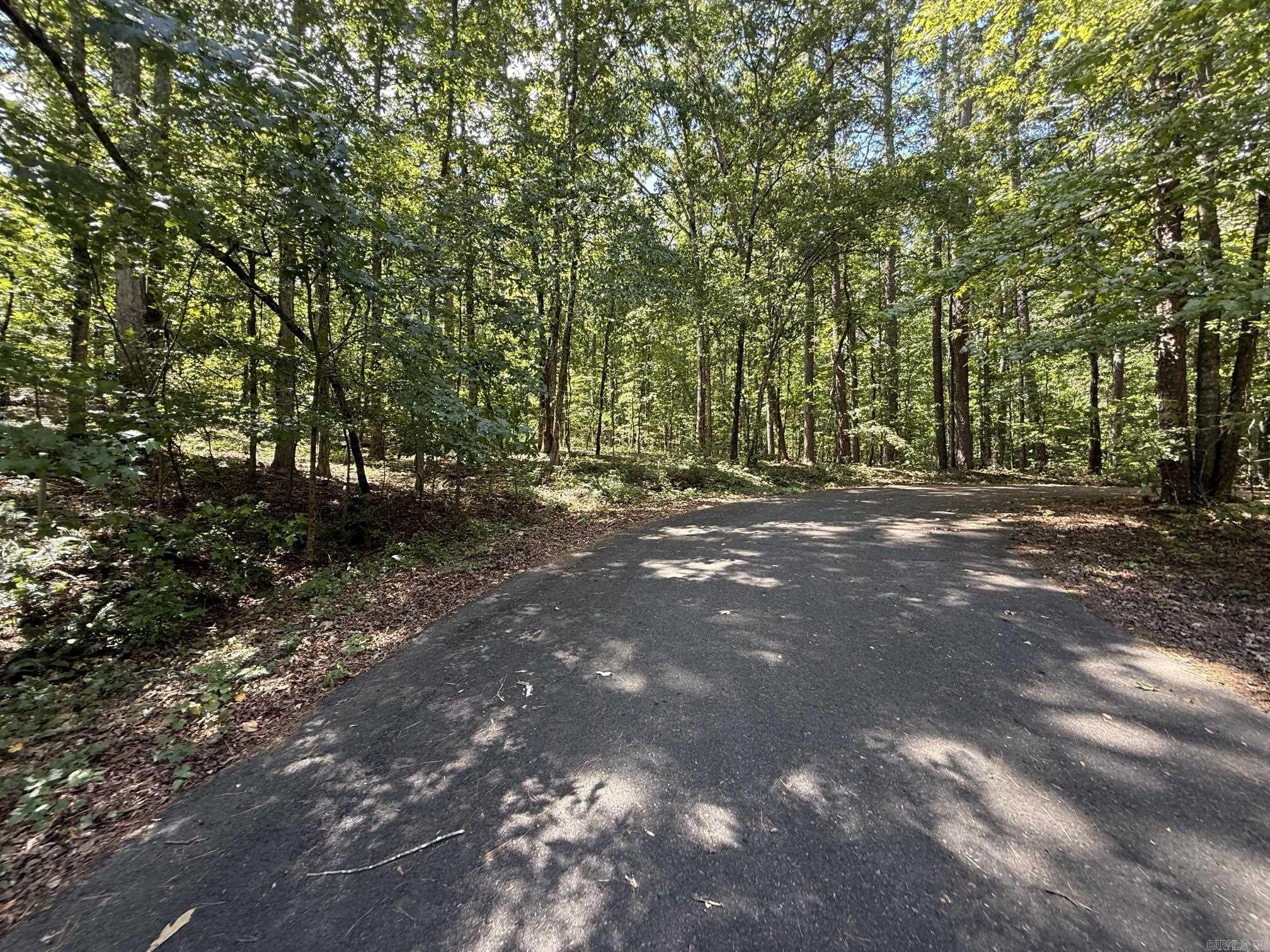 000 Lot 38, Block 4 Of Lugar Lane Property Photo 3