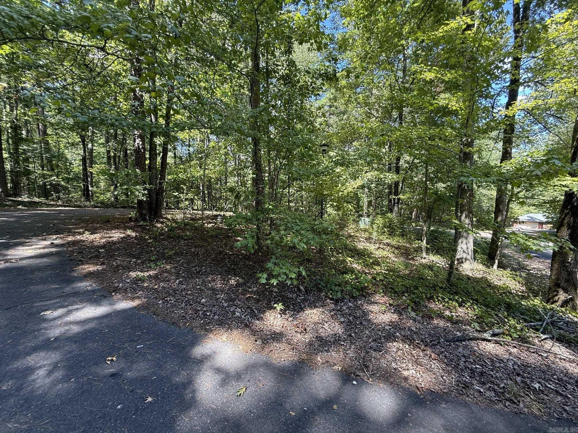 000 Lot 38, Block 4 Of Lugar Lane Property Photo 4