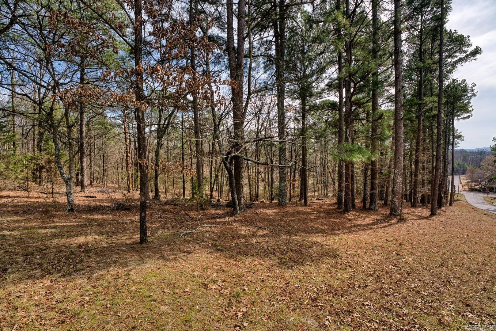 158 & 144 (a&b) Isaac Lane Property Photo 45