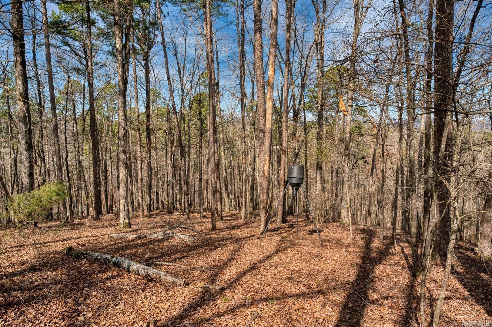 158 & 144 (a&b) Isaac Lane Property Photo 46