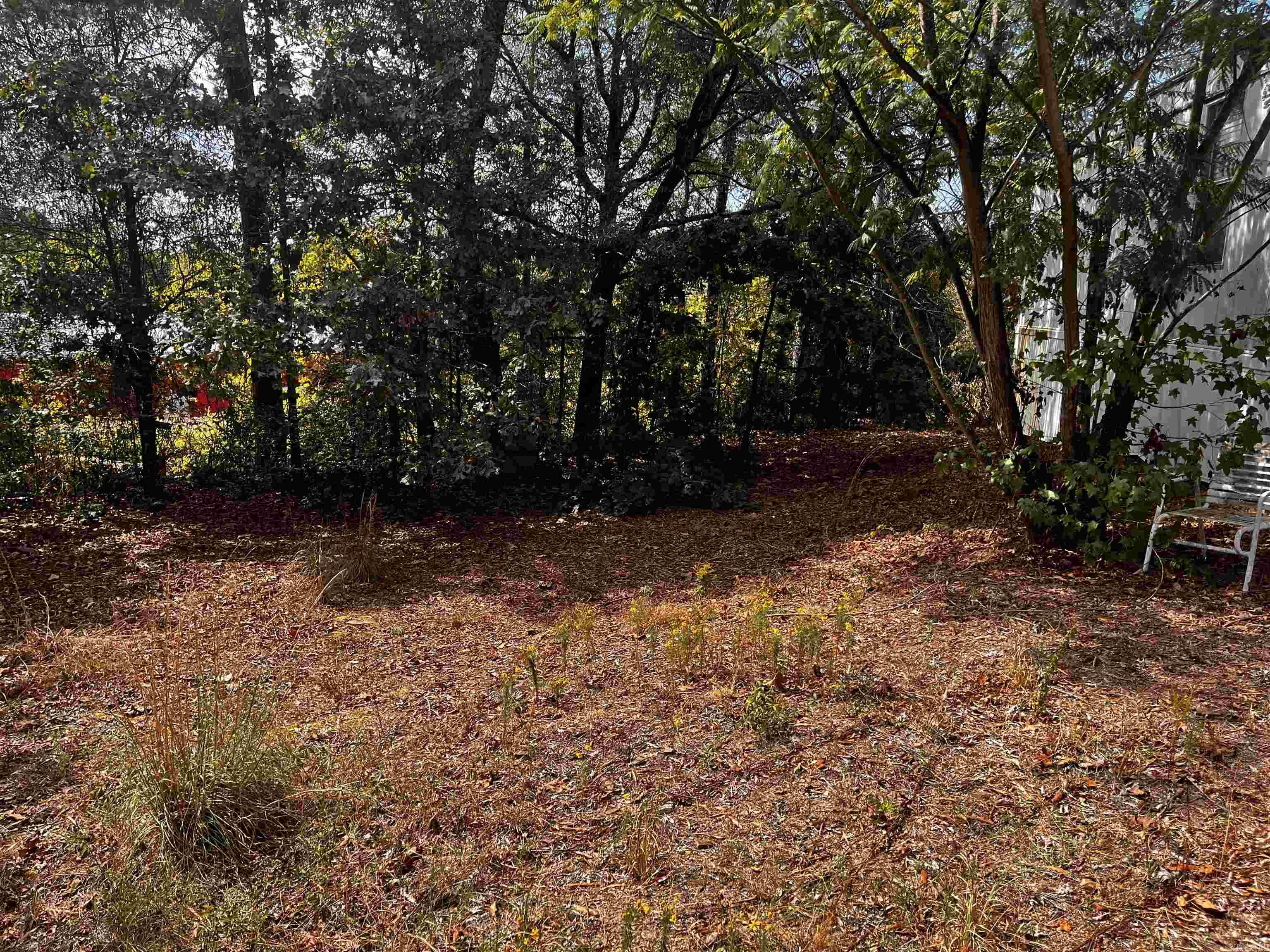 11810 Mac Arthur Dr Property Photo 4